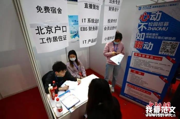 试用期、社保……毕业季，法律“小白”如何签合同？